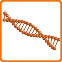 Biochimie Biochimie