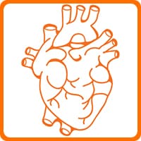 Coeur Coeur